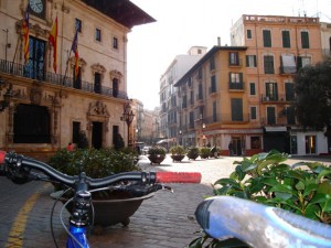 Palma de bicicleta