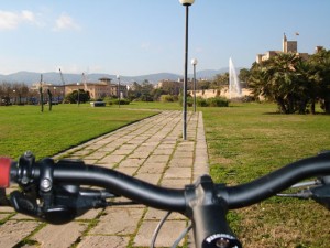 Palma em bicicleta